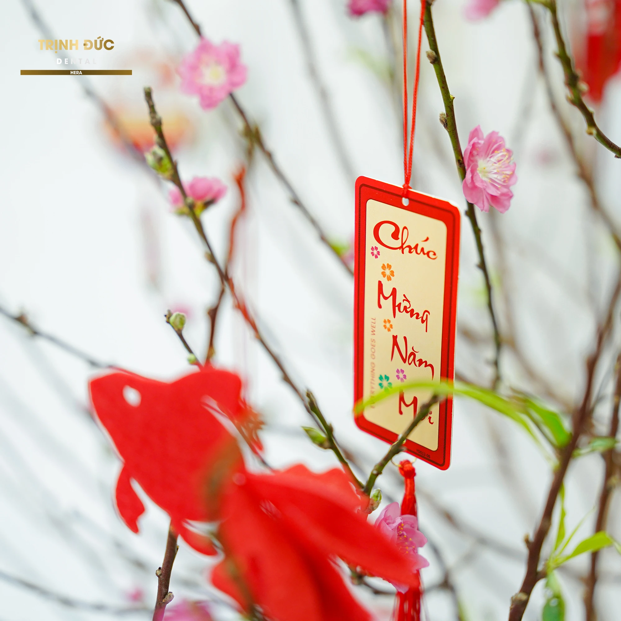 Ưu đãi răng sứ Tết 2026 tại Trịnh Đức Dental